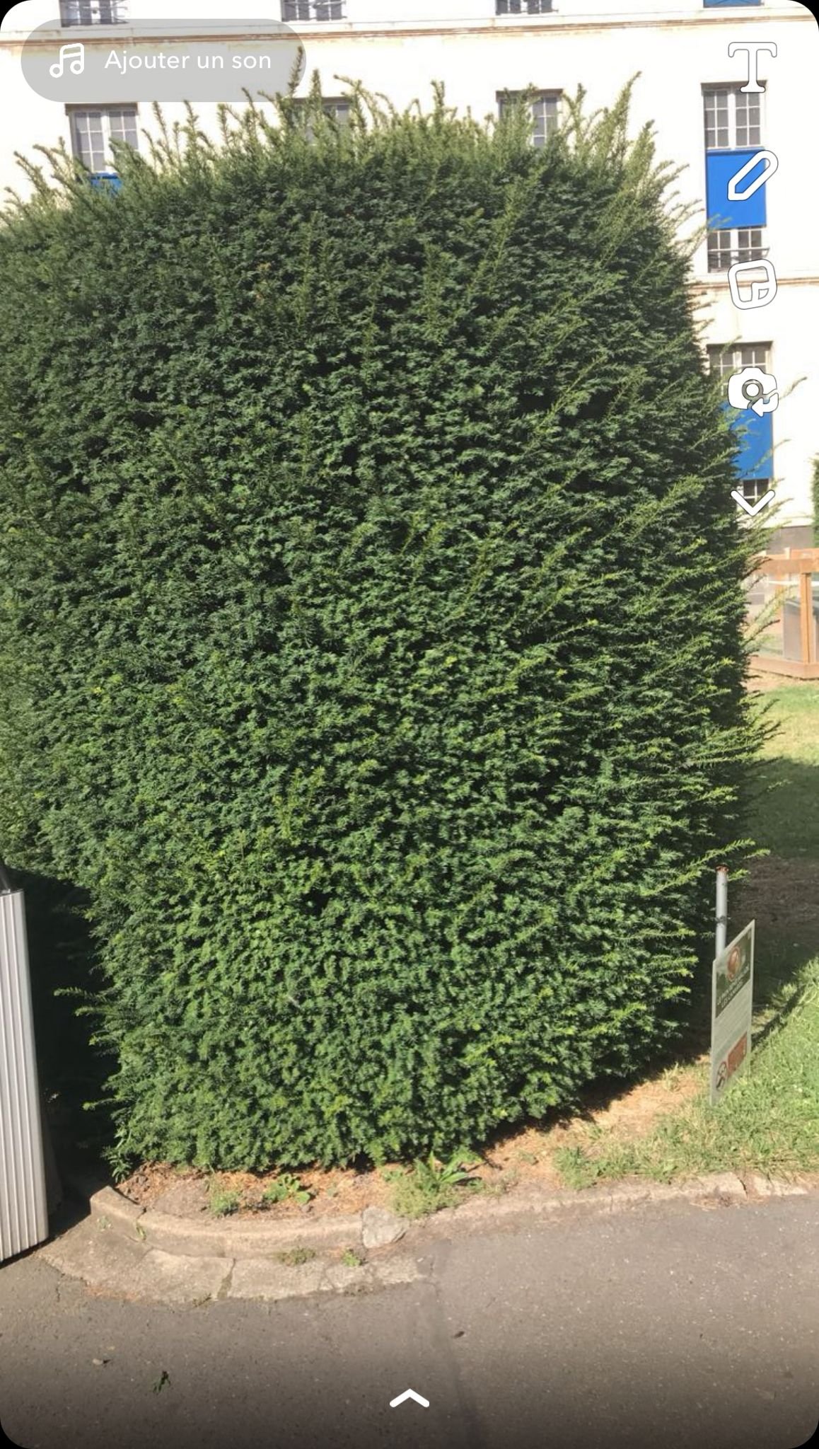 Before image