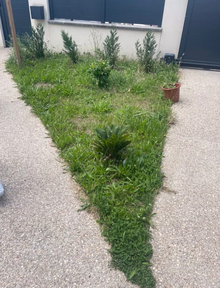 Before image